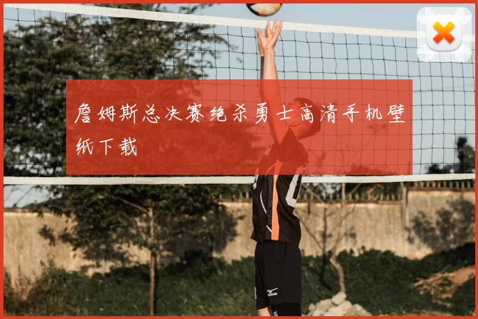 詹姆斯总决赛绝杀勇士高清手机壁纸下载