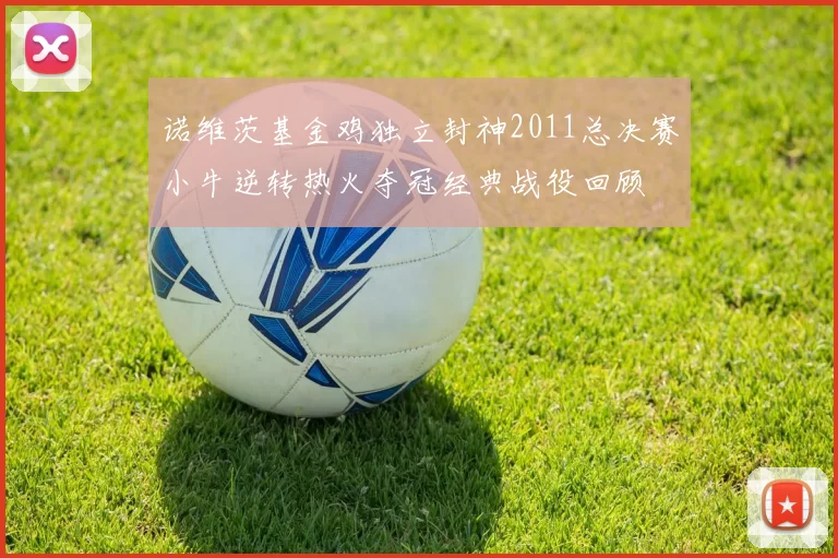 诺维茨基金鸡独立封神2011总决赛小牛逆转热火夺冠经典战役回顾