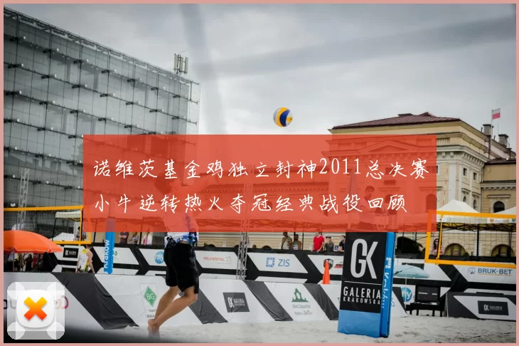 诺维茨基金鸡独立封神2011总决赛小牛逆转热火夺冠经典战役回顾