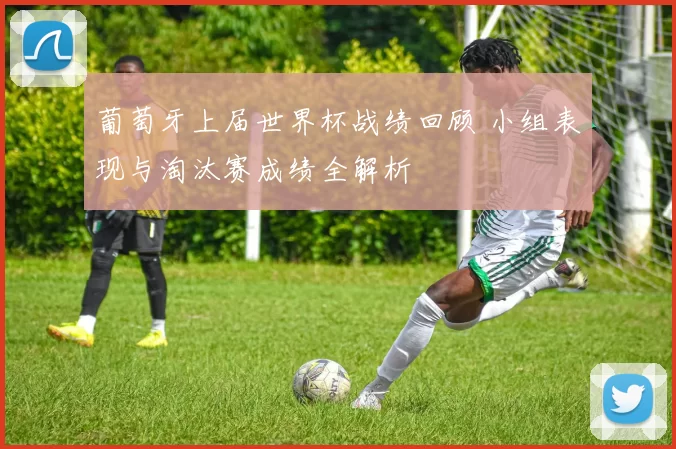 葡萄牙上届世界杯战绩回顾 小组表现与淘汰赛成绩全解析