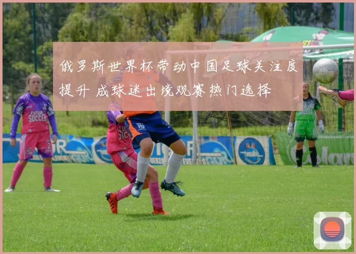 俄罗斯世界杯带动中国足球关注度提升 成球迷出境观赛热门选择