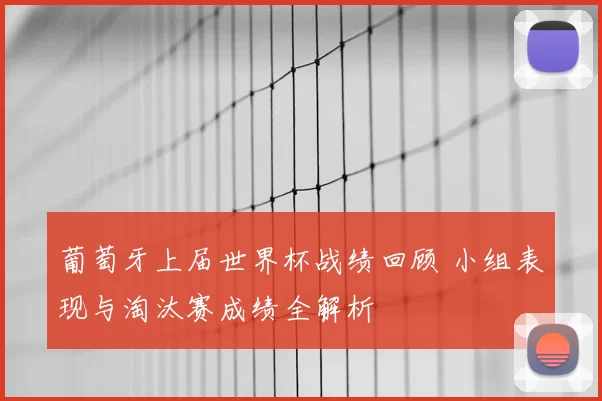 葡萄牙上届世界杯战绩回顾 小组表现与淘汰赛成绩全解析