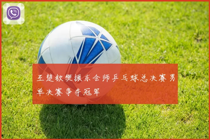 王楚钦樊振东会师乒乓球总决赛男单决赛争夺冠军