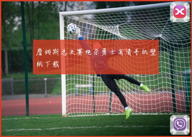 詹姆斯总决赛绝杀勇士高清手机壁纸下载