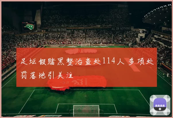 足坛假赌黑整治查处114人 多项处罚落地引关注