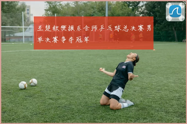 王楚钦樊振东会师乒乓球总决赛男单决赛争夺冠军