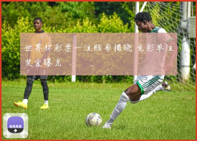 世界杯彩票一注赔率揭晓 竞彩单注奖金曝光