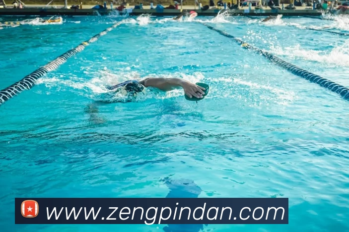 pg国际下载官方网站/手机网页版平台生态图