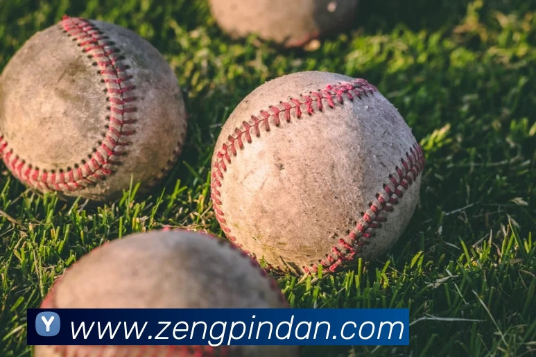 pg国际下载官方网站/手机网页版APP 封面图